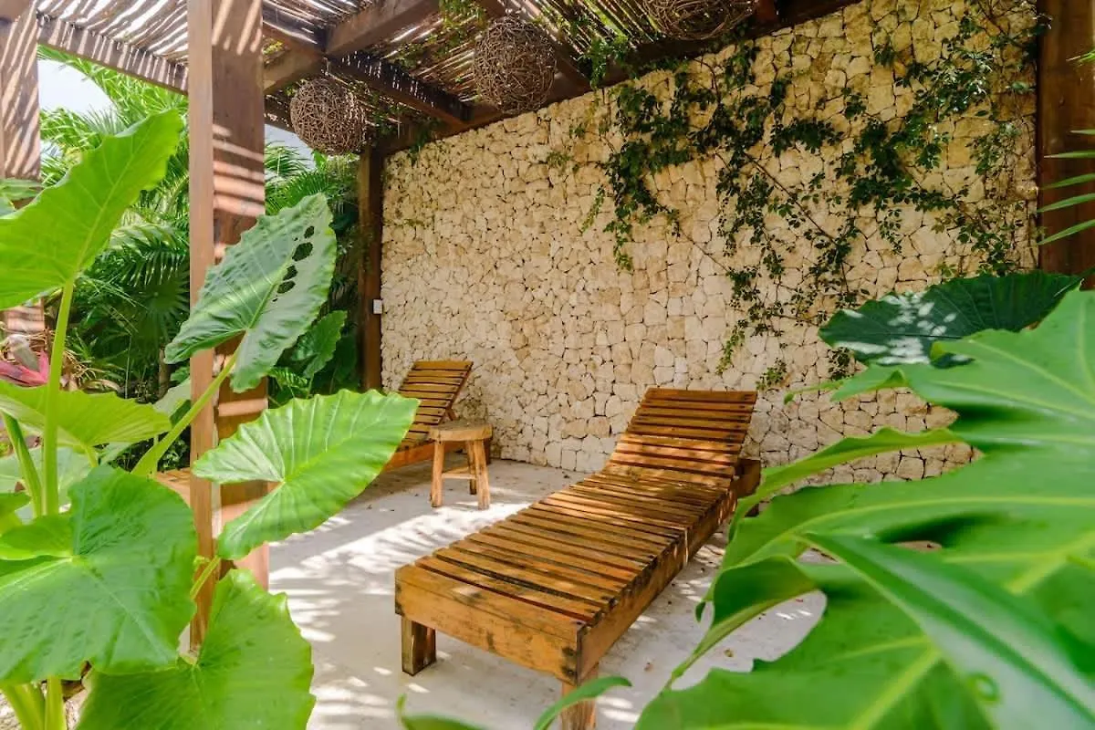 Apartment Studio With Private Pool & Terrace Tulum